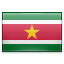 shiny Suriname icon